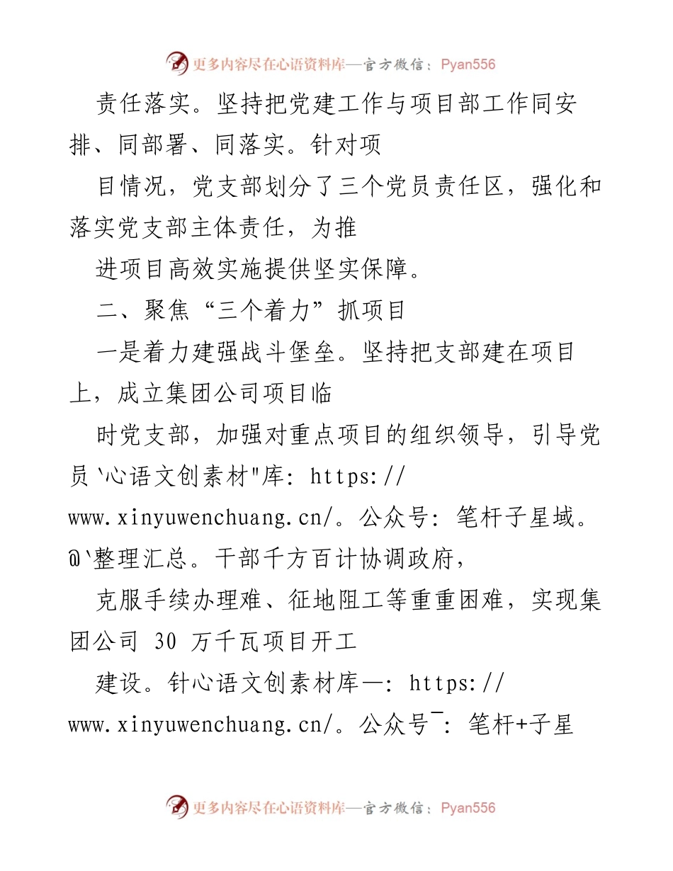 [工作总结] 项目建设 - 党建引领提升项目建设效率的实践与成效.docx_第2页