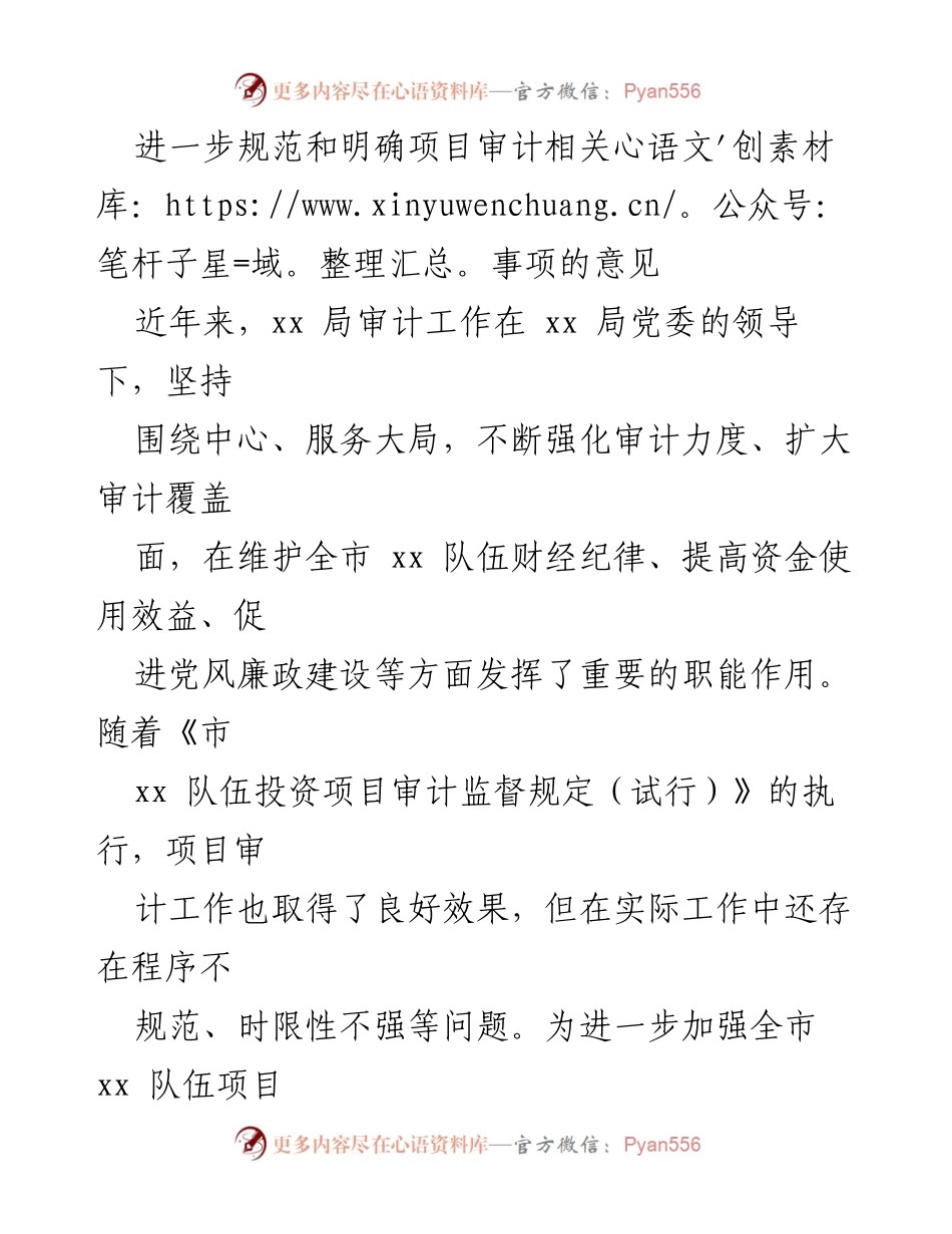 [工作总结] 项目审计 - 规范项目审计流程与效率提升建议.docx_第1页