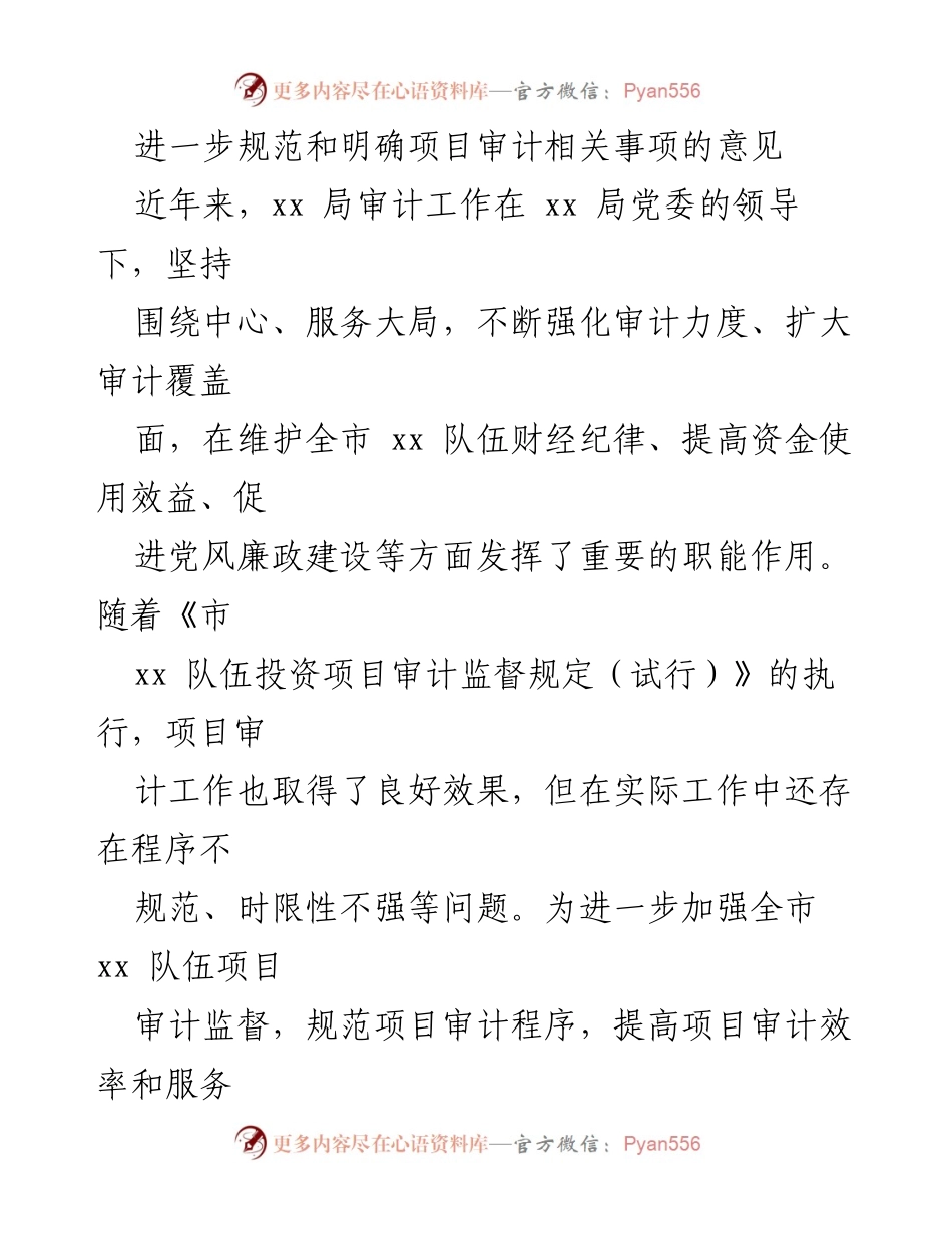 [工作总结] 项目审计 - 进一步规范项目审计程序与效率提升意见.docx_第1页