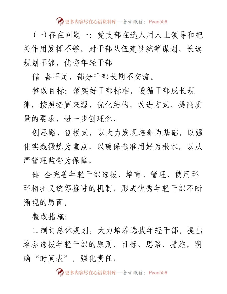 [工作总结] 选人用人自查整改 - 选人用人问题及整改措施总结.docx_第2页