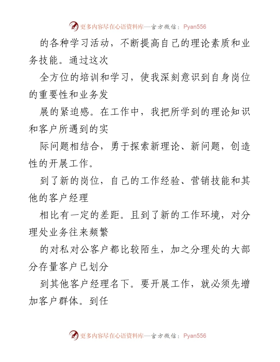 [工作总结] 银行客户经理 - 半年工作总结与成长反思.docx_第2页