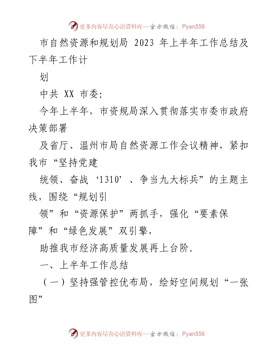 [工作总结] 自然资源与规划局 - 2023年上半年工作总结及下半年工作计划.docx_第1页