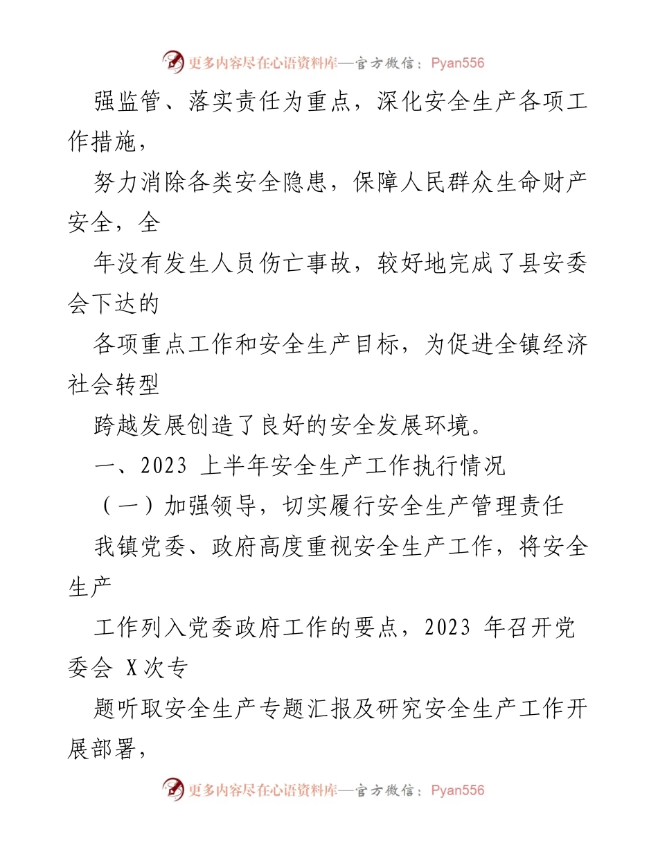 [工作总结] 镇政府 - 2023年上半年安全生产工作总结.docx_第2页