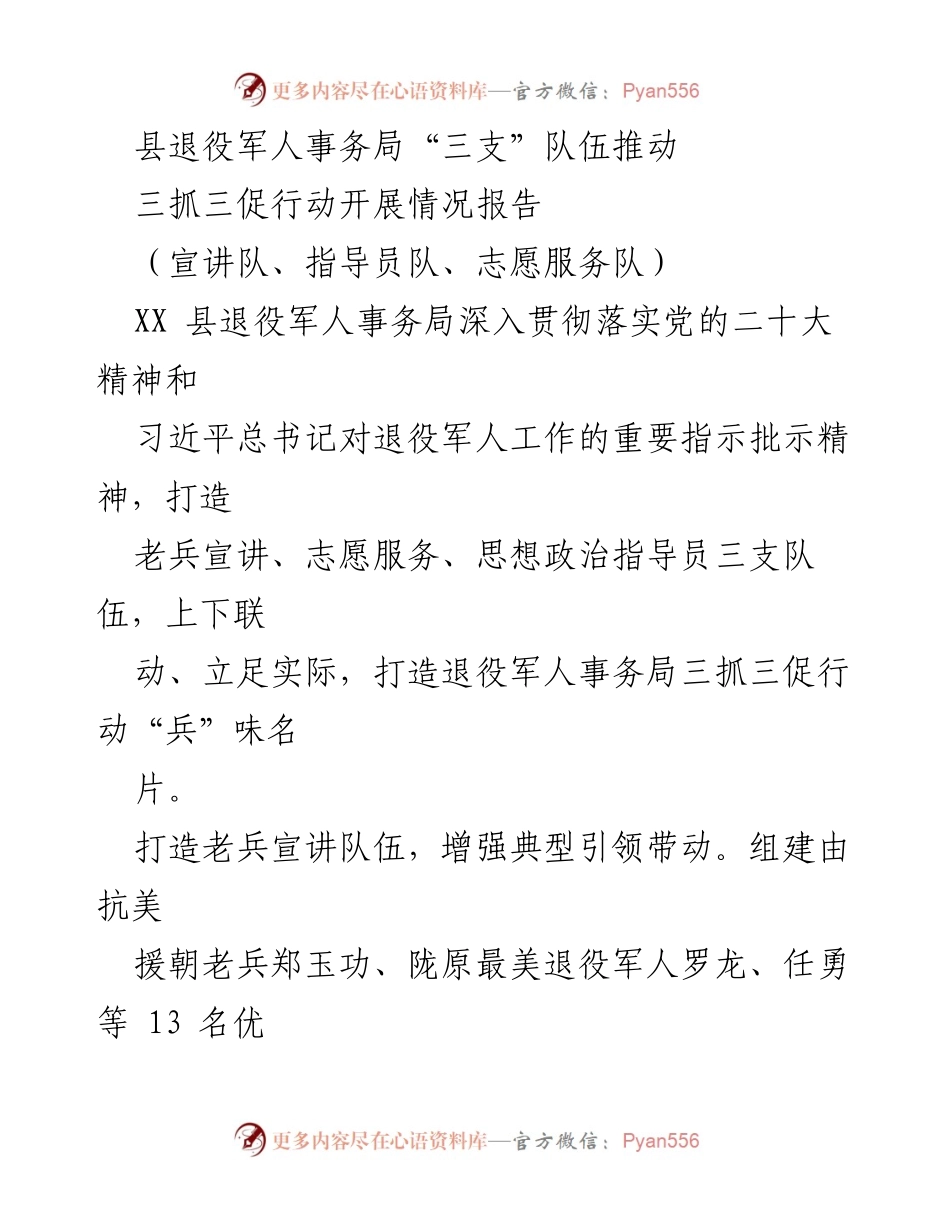[工作总结] 退役军人事务局 - 推动“三支”队伍开展“三抓三促”行动情况报告.docx_第1页