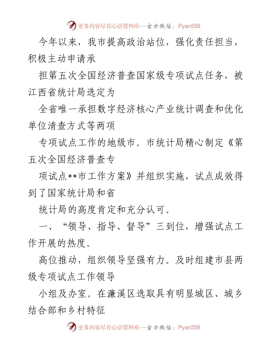 [工作总结] 经济普查专项试点 - 2023年经济普查专项试点工作总结与成效分析.docx_第1页