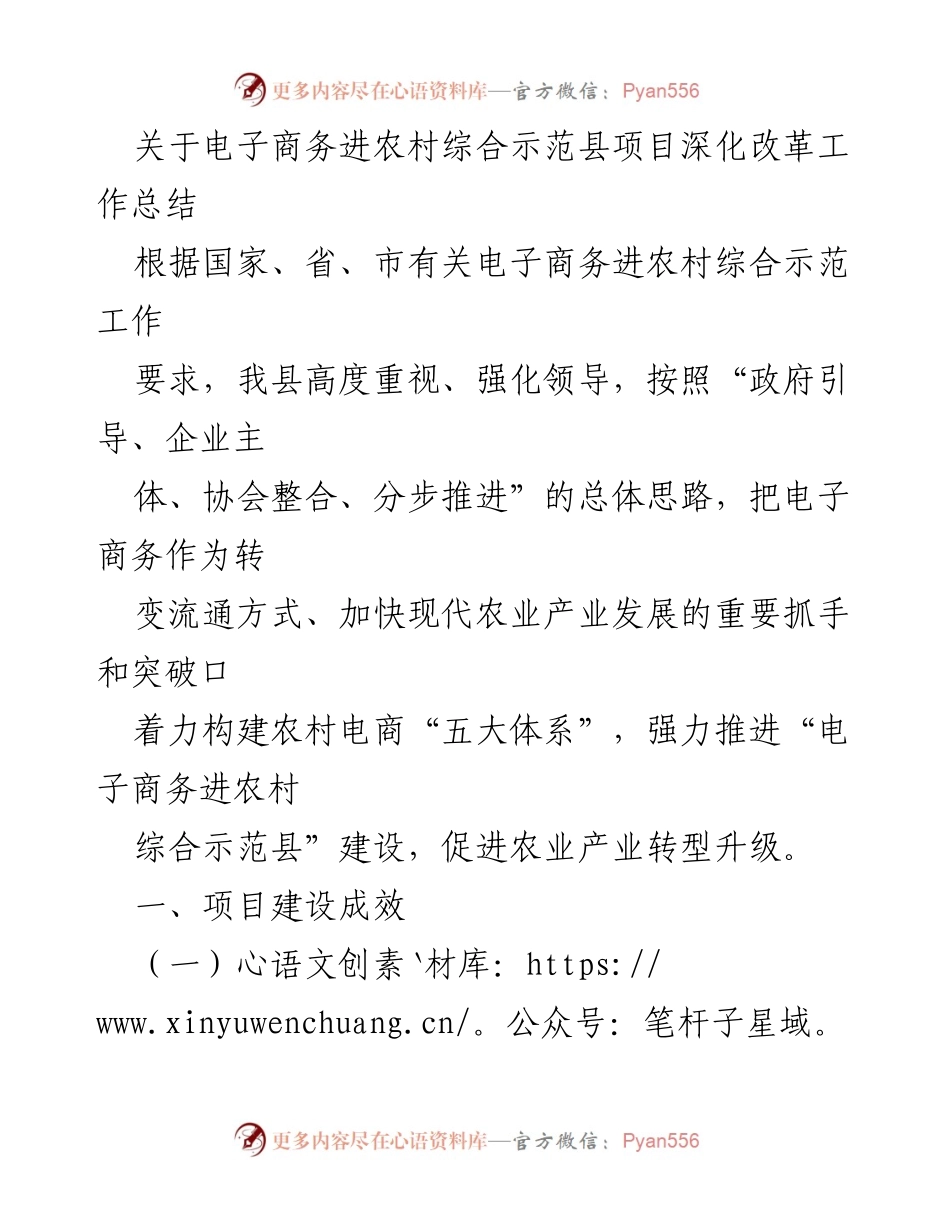 [工作总结] 项目推进 - 电子商务进农村综合示范县项目深化改革工作总结.docx_第1页