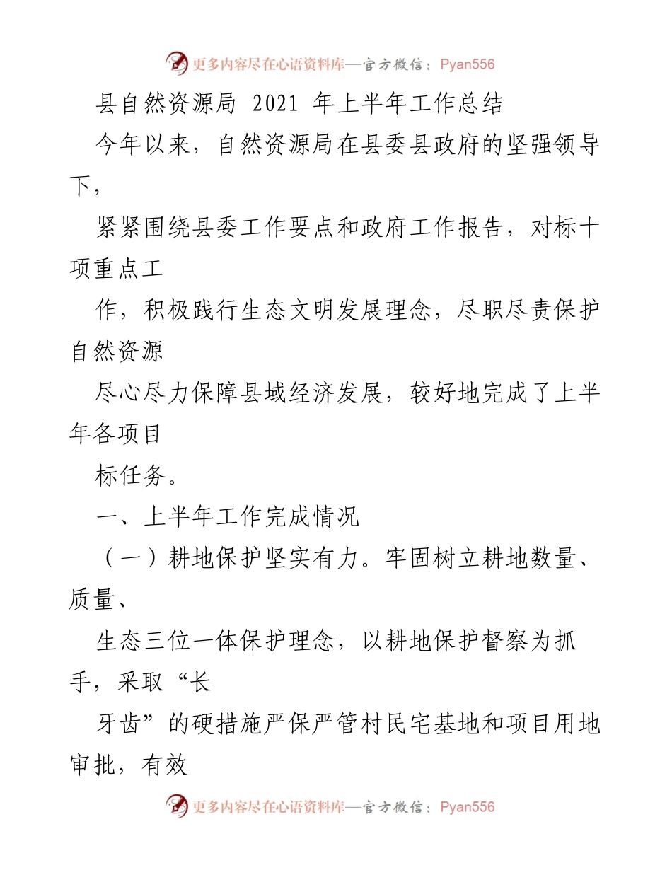 [工作总结] 自然资源局 - 2021年上半年自然资源局工作总结报告.docx_第1页