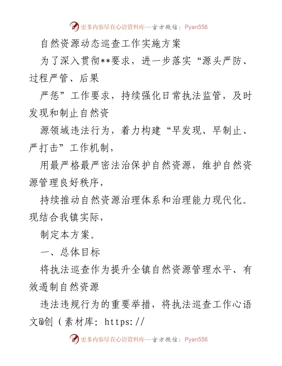 [工作总结] 自然资源管理 - 自然资源动态巡查工作实施方案.docx_第1页