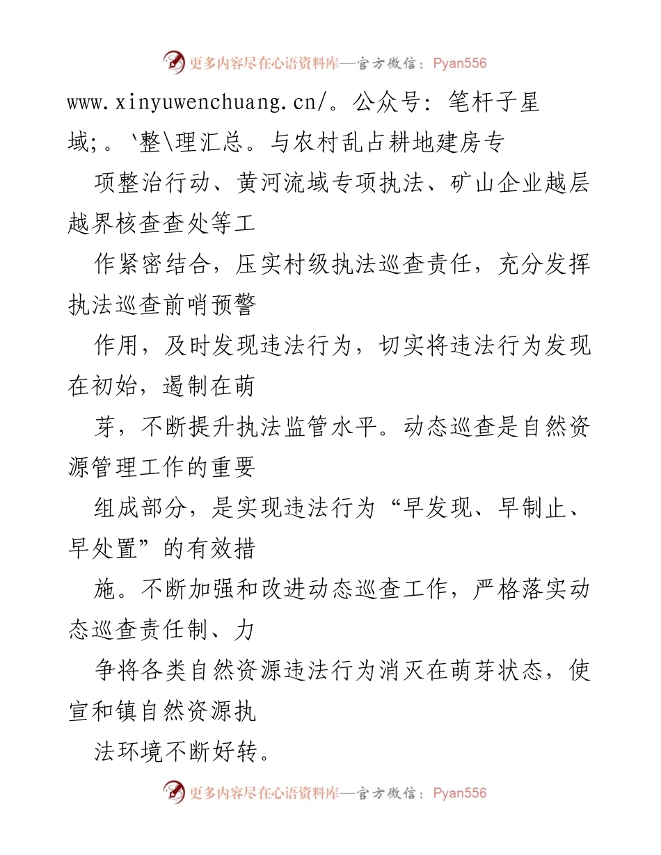 [工作总结] 自然资源管理 - 自然资源动态巡查工作实施方案.docx_第2页