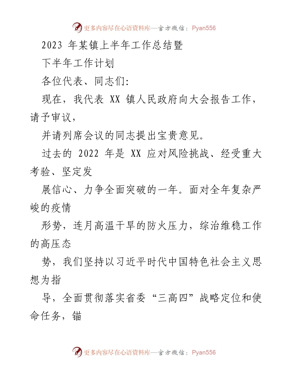 [工作总结] 镇政府会议 - 2023年某镇上半年工作总结及下半年工作计划.docx_第1页