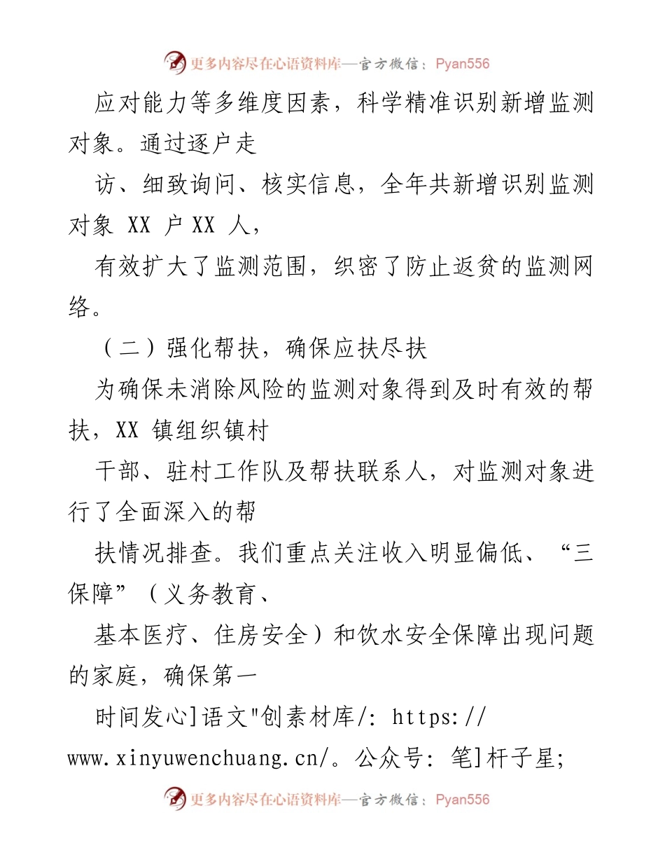 [工作总结] 防止返贫监测 - XX镇2024年防止返贫集中信息录入排查工作总结.docx_第2页