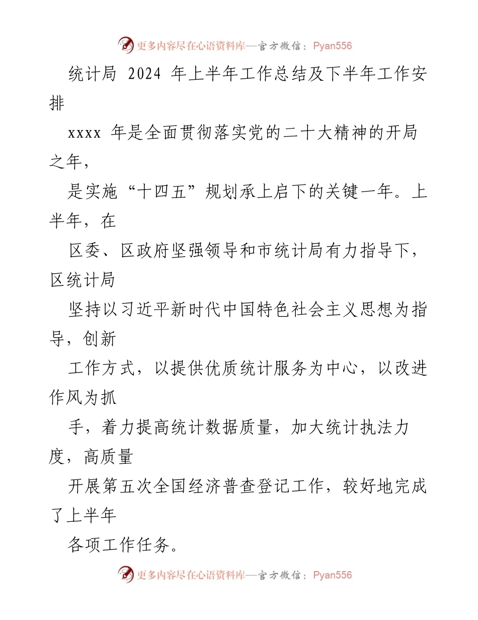 [工作总结] 统计局 - 2024年上半年工作总结与下半年工作安排.docx_第1页