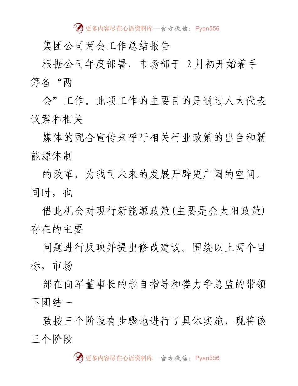 [工作总结] 集团公司两会 - 新能源政策呼吁与议案准备工作总结报告.docx_第1页