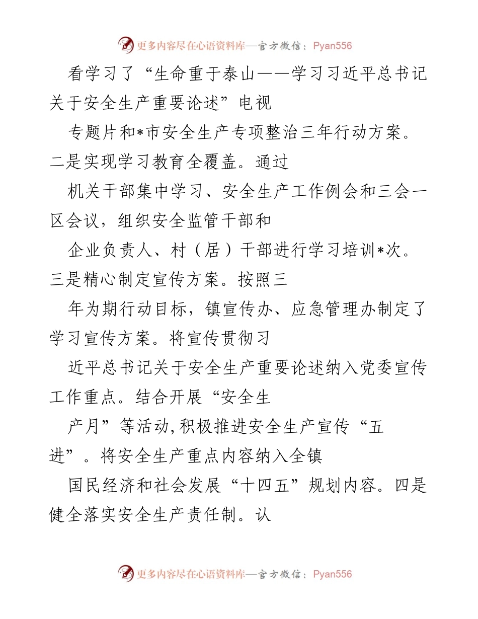 [工作总结] 镇安全生产工作 - 镇安全生产专项整治及风险防范工作情况汇报.docx_第2页