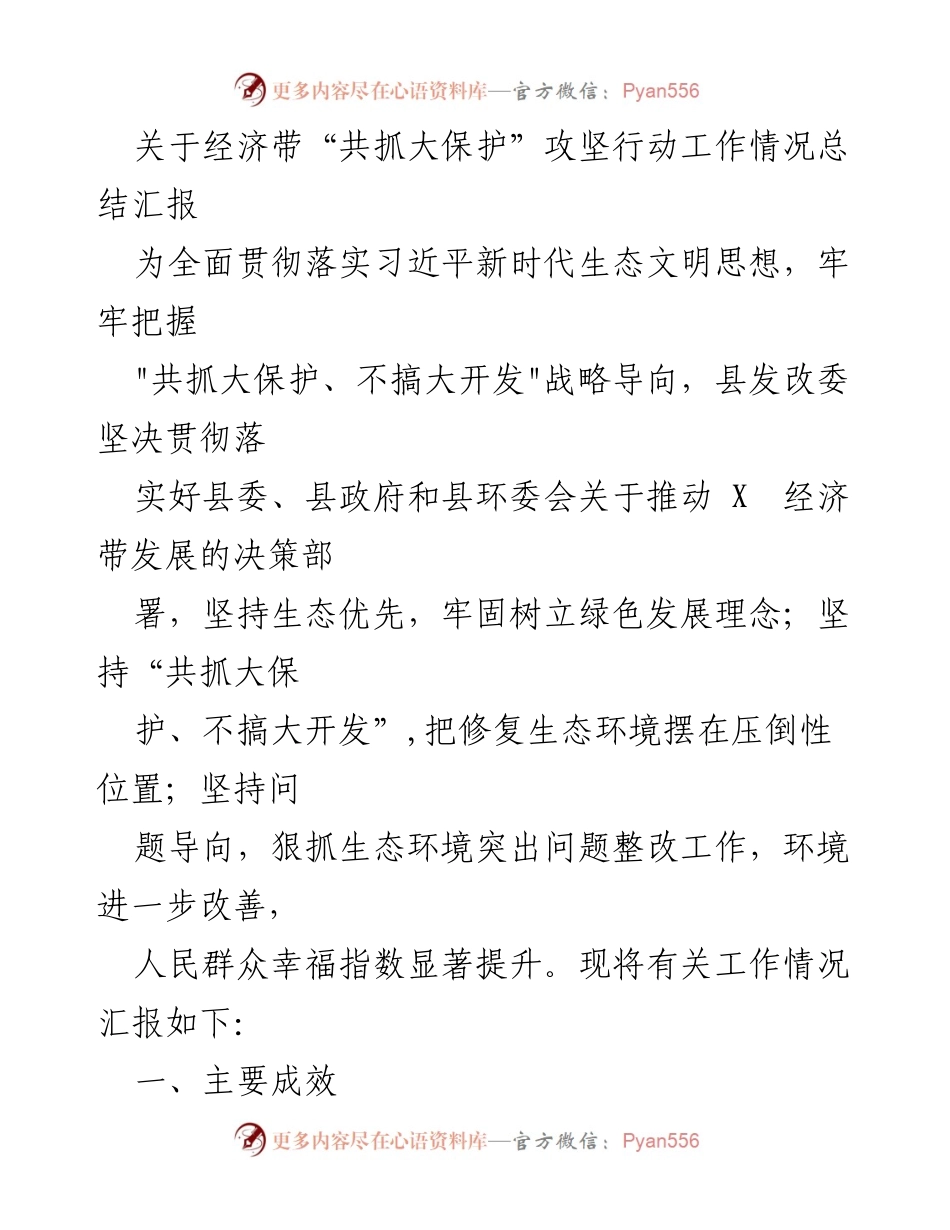 [工作总结] 经济带生态保护 - 经济带“共抓大保护”攻坚行动工作情况总结汇报.docx_第1页