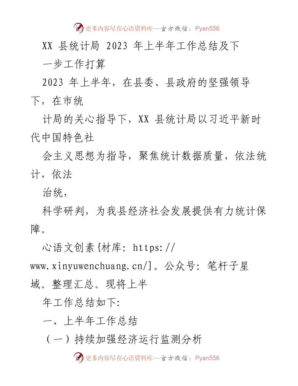[工作总结] 统计局工作会议 - 2023年上半年统计工作总结及下半年计划.docx_第1页