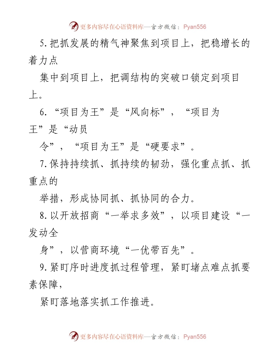 [工作总结] 项目建设 - 强化项目建设与招商引资的综合策略.docx_第2页