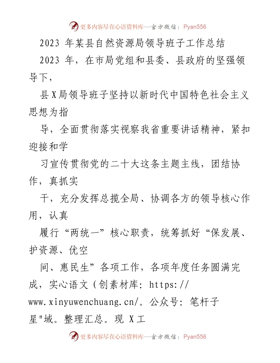 [工作总结] 自然资源管理 - 2023年某县自然资源局领导班子工作总结.docx_第1页