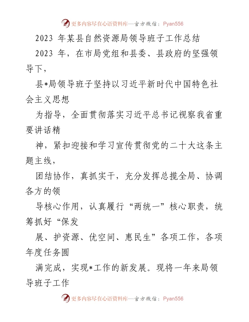 [工作总结] 自然资源局 - 2023年自然资源局领导班子工作总结.docx_第1页