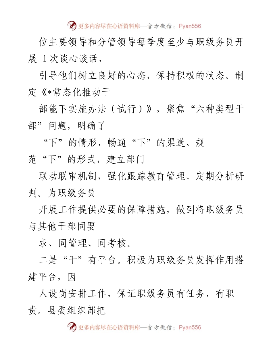 [工作总结] 职级务员管理 - 发挥职级务员作用，提升管理与晋升渠道.docx_第2页