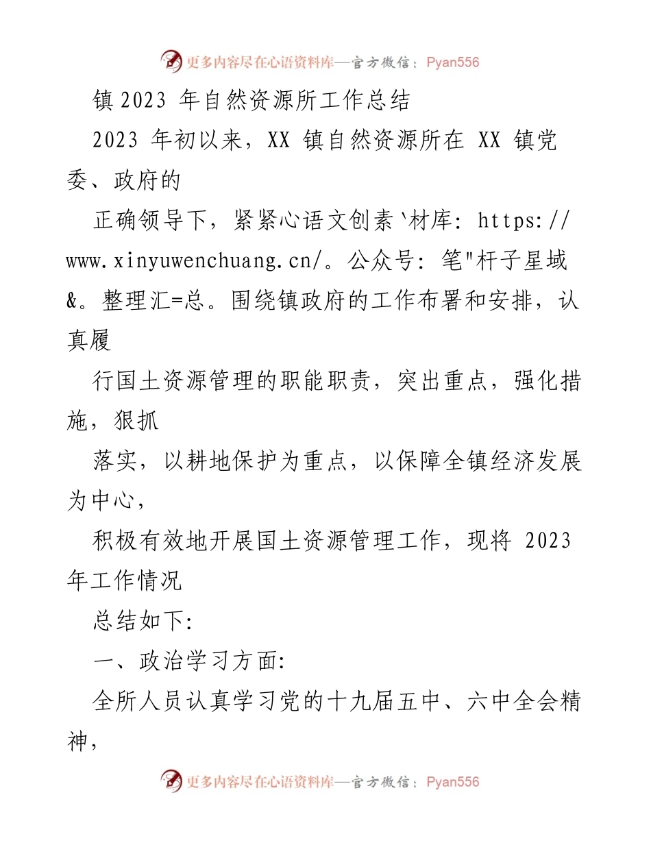 [工作总结] 镇自然资源所 - 2023年自然资源所工作总结与展望.docx_第1页