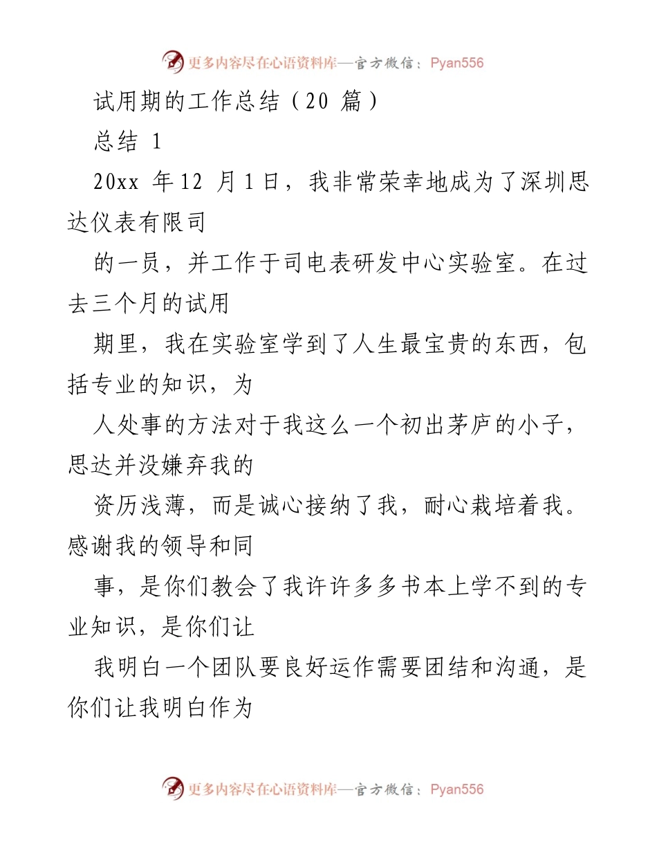 [工作总结] 试用期 - 从新手到专业技术人员的成长历程.docx_第1页