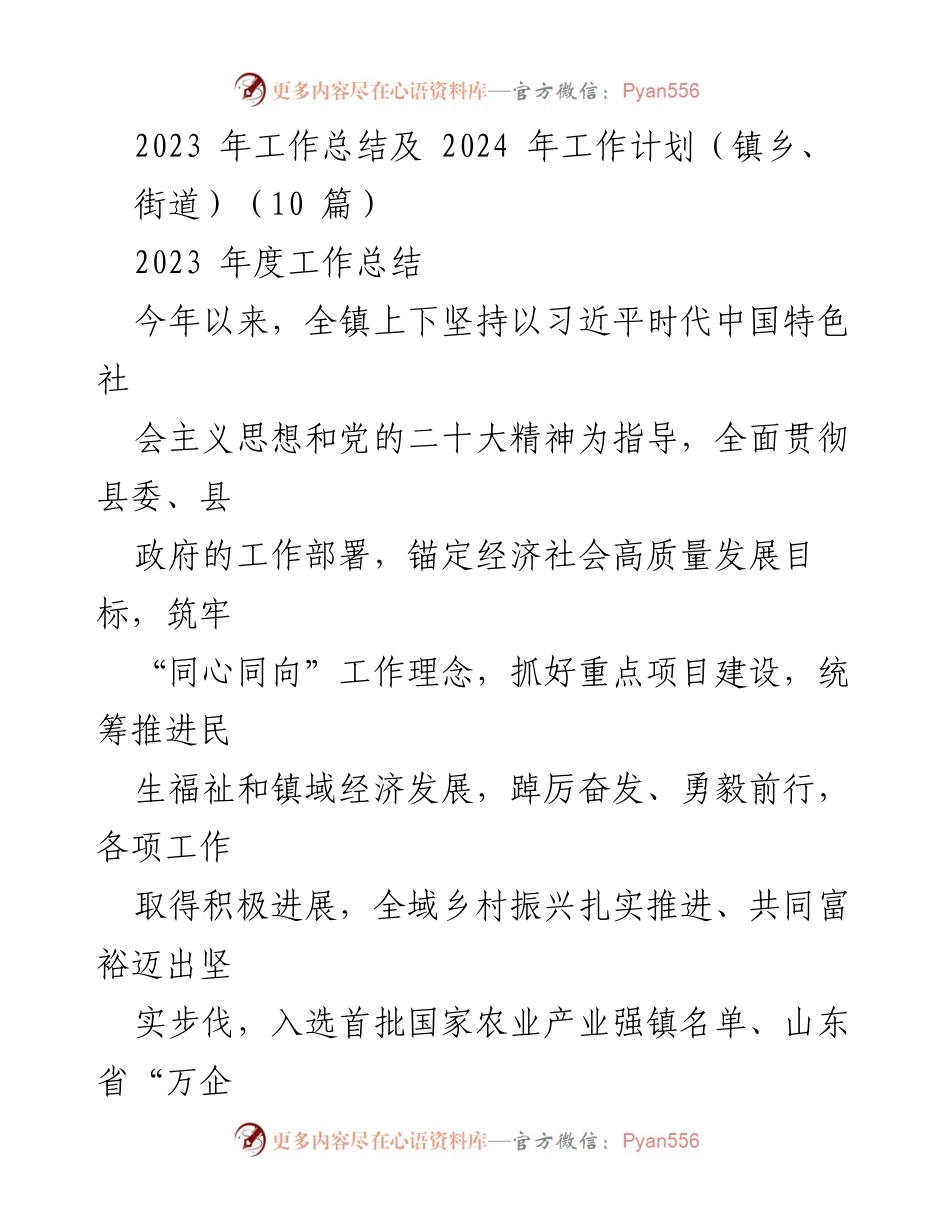 [工作总结] 镇乡工作会议 - 2023年度工作总结与2024年工作计划.docx_第1页