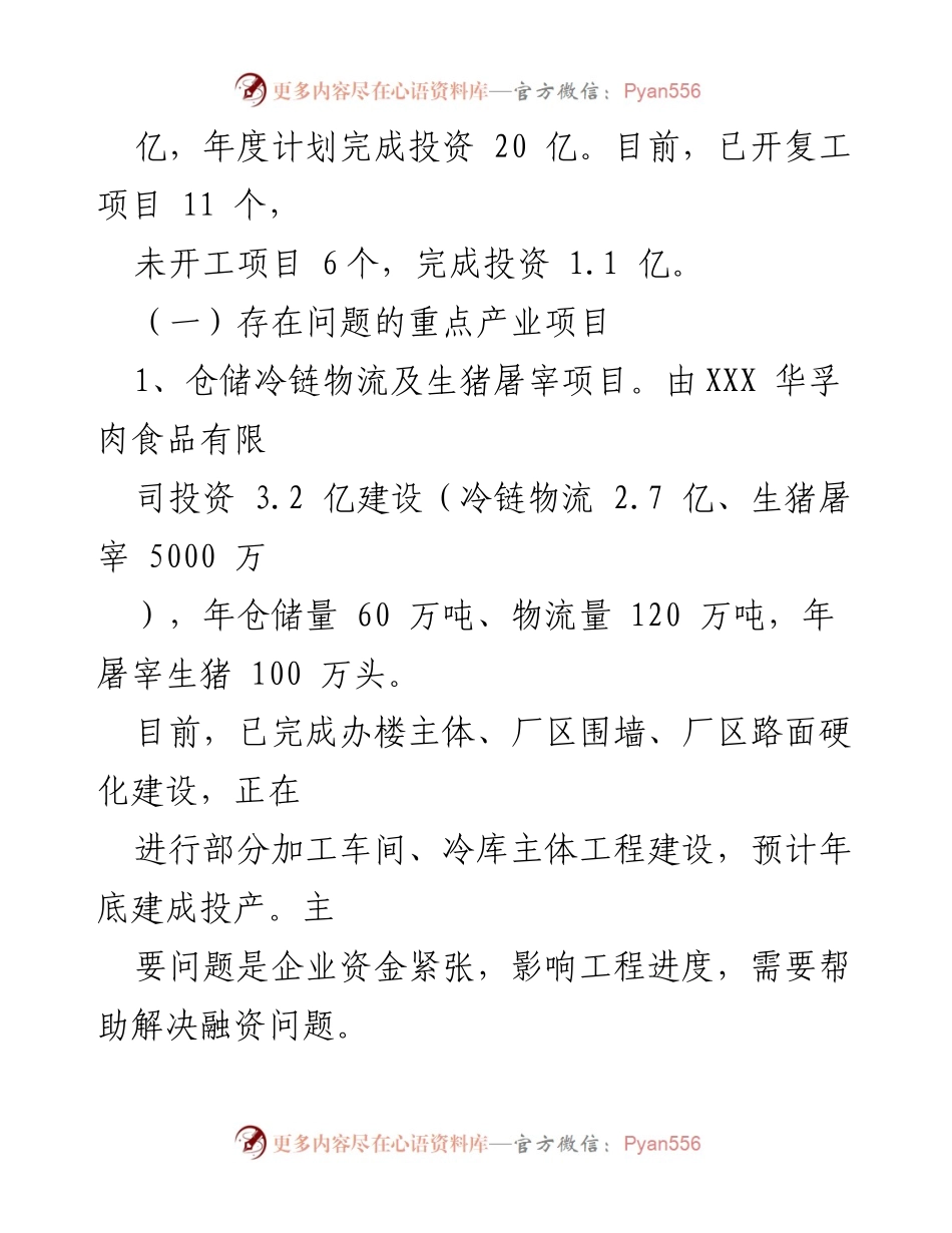 [工作总结] 重点产业项目建设 - XX市20xx年重点产业项目建设情况汇报.docx_第2页