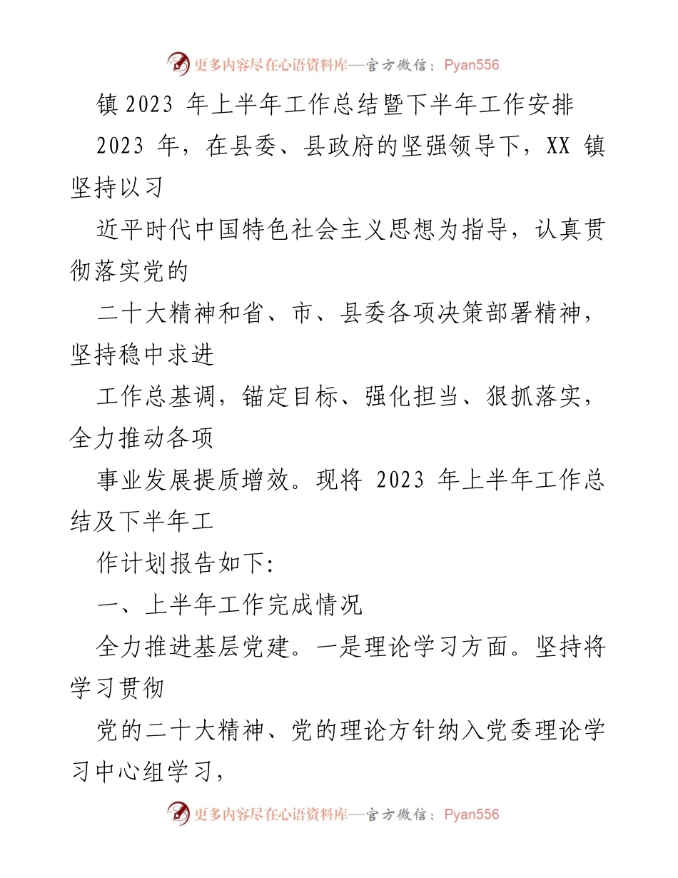[工作总结] 镇政府 - 2023年上半年工作总结及下半年工作安排.docx_第1页