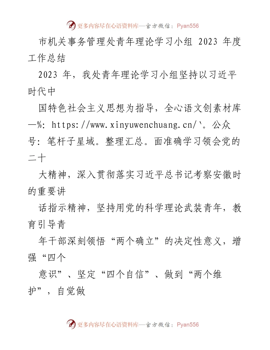 [工作总结] 青年理论学习 - 2023年度青年理论学习小组工作总结.docx_第1页