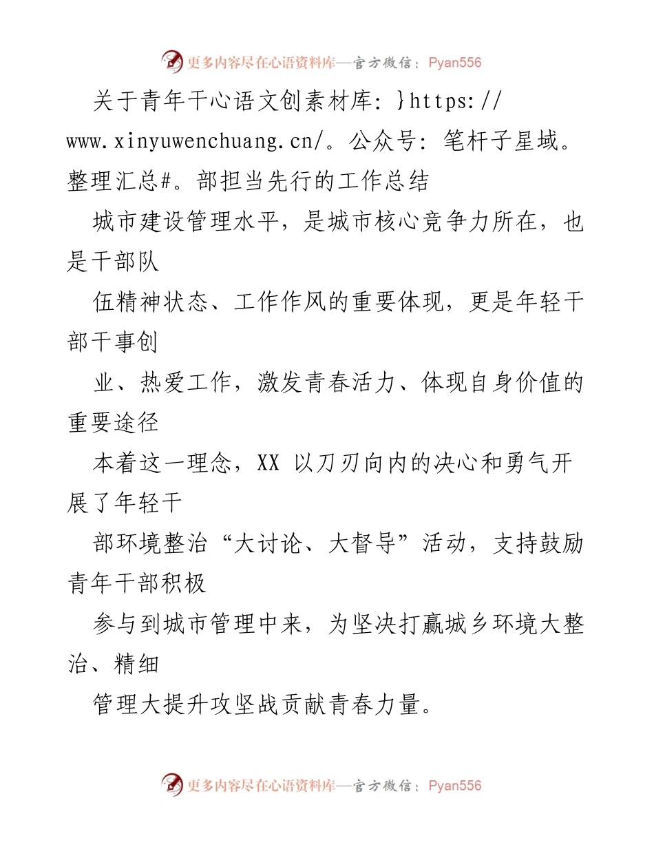 [工作总结] 青年干部环境整治活动 - 青年干部担当先行，助力城市环境整治.docx_第1页