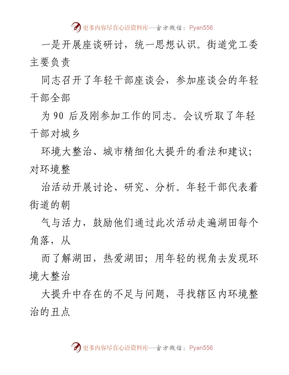 [工作总结] 青年干部环境整治活动 - 青年干部担当先行，助力城市环境整治.docx_第2页