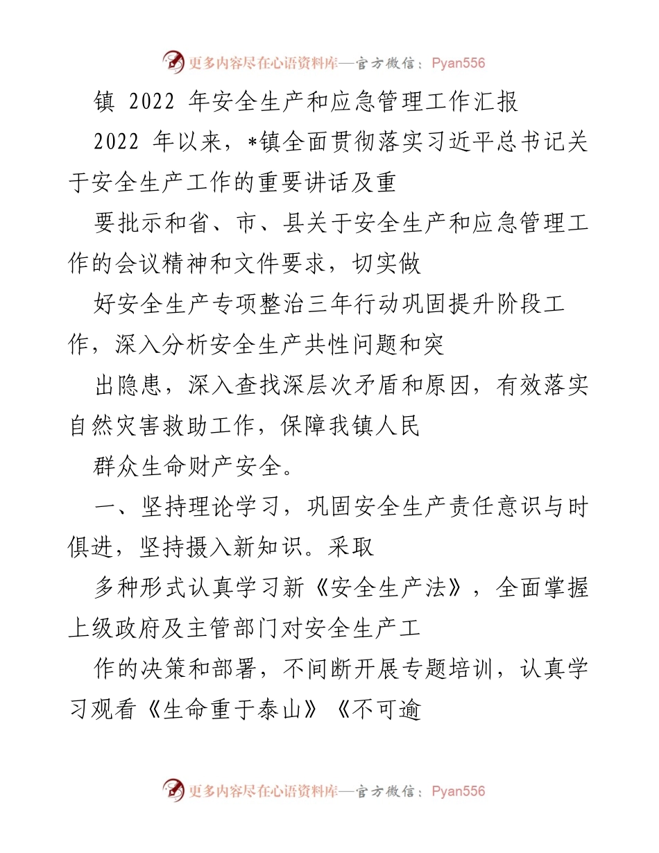 [工作总结] 镇安全生产会议 - 2022年安全生产与应急管理工作汇报.docx_第1页