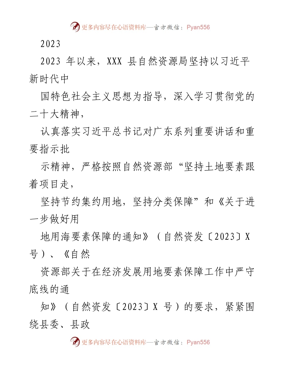 [工作总结] 自然资源局 - 2023年上半年自然资源局工作总结与规划进展报告.docx_第1页