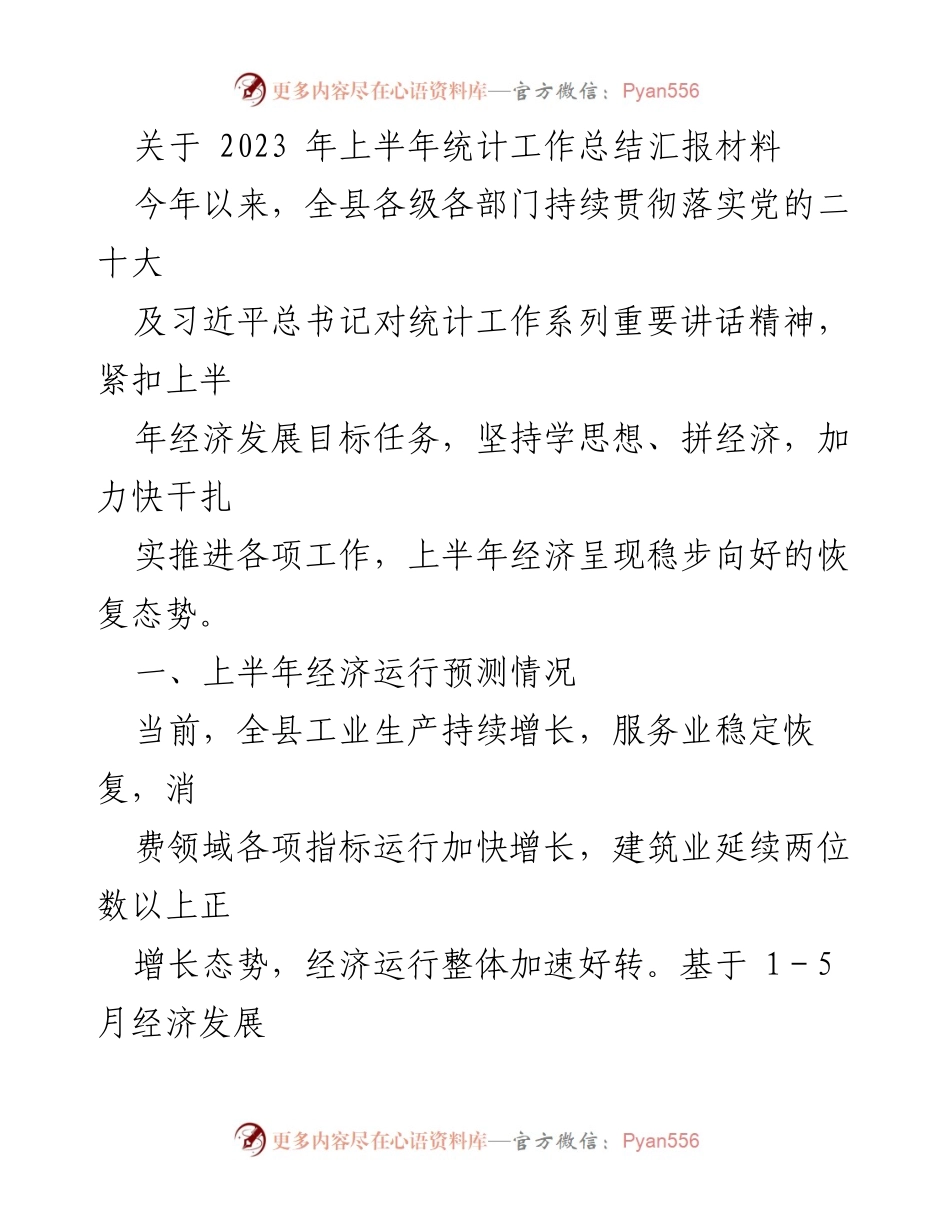 [工作总结] 统计工作汇报 - 2023年上半年统计工作总结与经济运行分析.docx_第1页