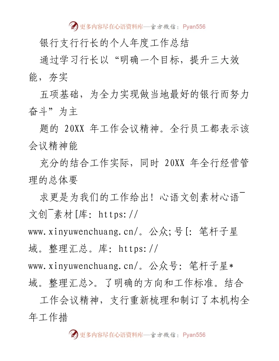 [工作总结] 银行支行 - 20XX年度行长工作总结与管理提升策略.docx_第1页