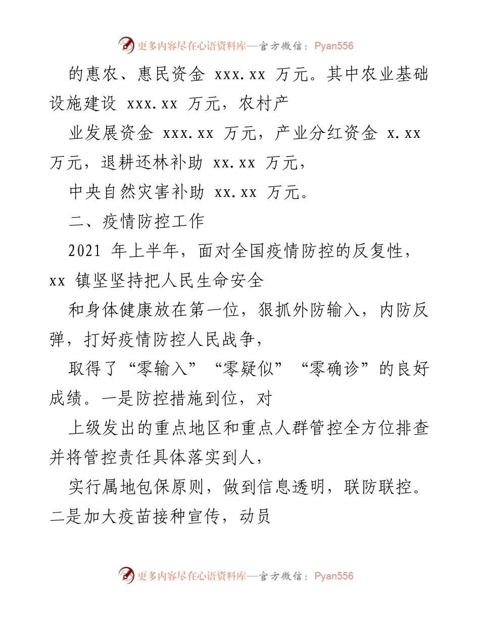 [工作总结] 镇乡 - 2021年上半年工作总结与下半年工作计划.docx_第2页