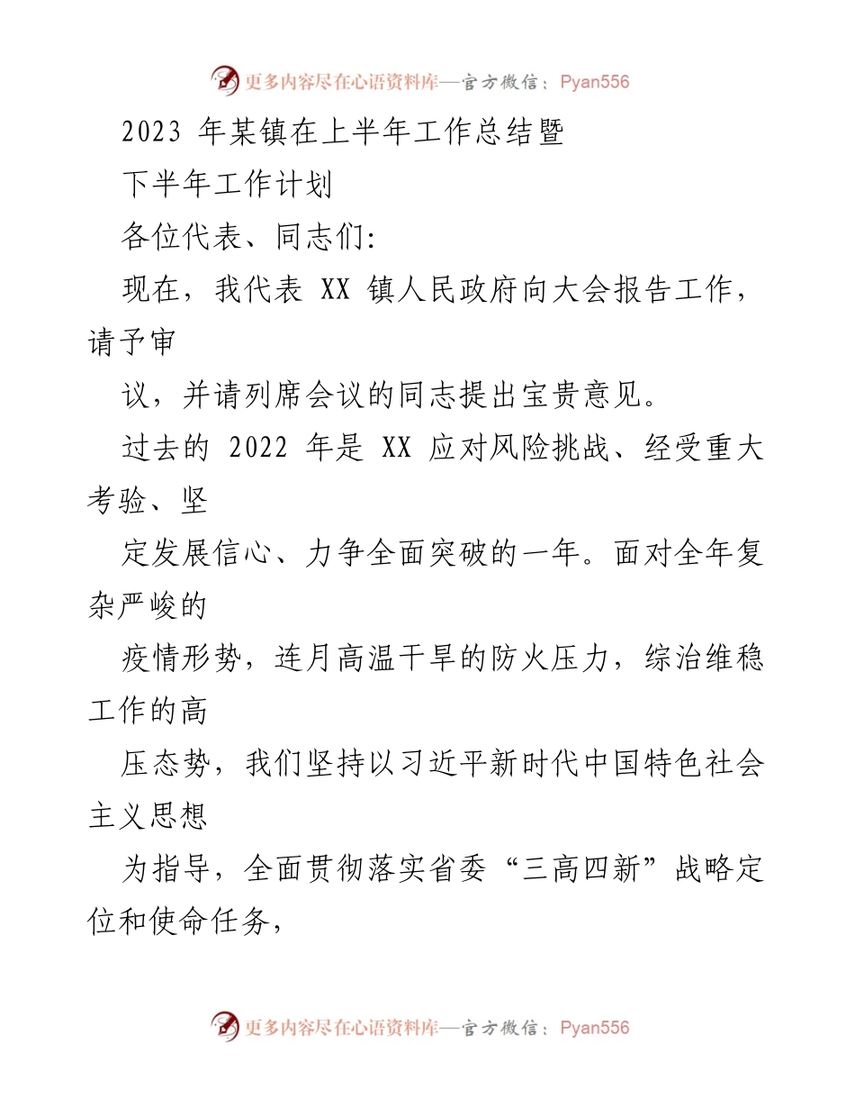 [工作总结] 镇政府会议 - 2023年某镇上半年工作总结暨下半年工作计划.docx_第1页