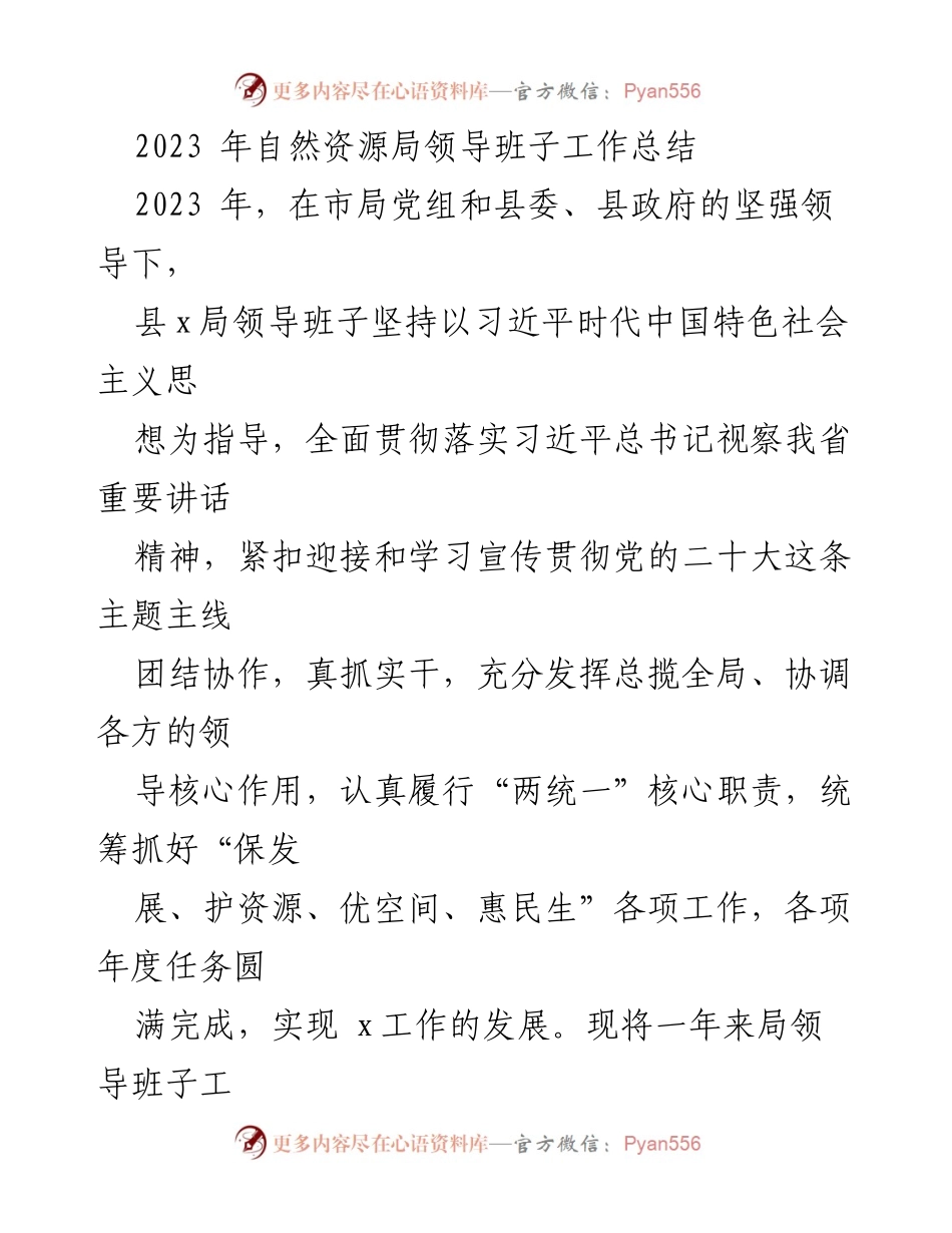 [工作总结] 自然资源局 - 2023年领导班子工作总结报告_1.docx_第1页