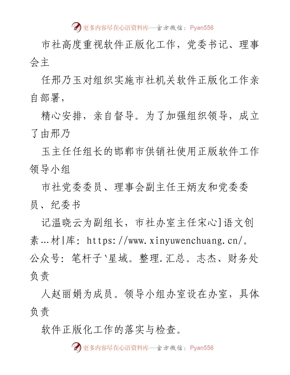 [工作总结] 软件正版化工作 - 市供销社软件正版化工作落实情况总结.docx_第2页