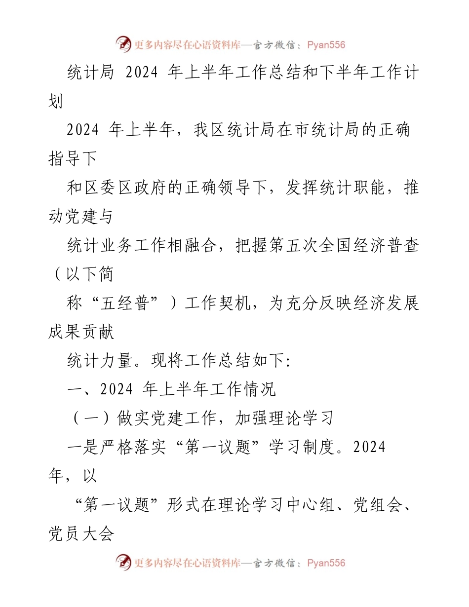 [工作总结] 统计局 - 2024年上半年工作总结与下半年工作计划_2.docx_第1页