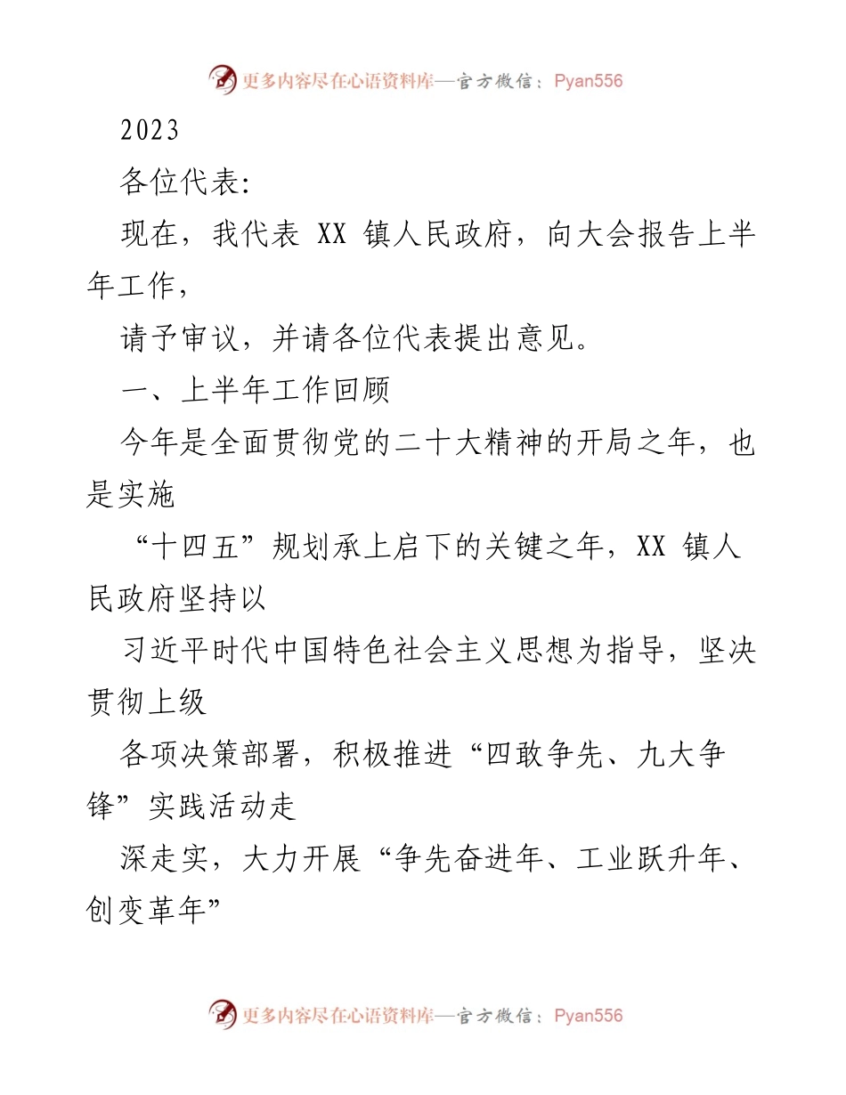 [工作总结] 镇人民政府工作会议 - 2023年上半年工作总结报告.docx_第1页