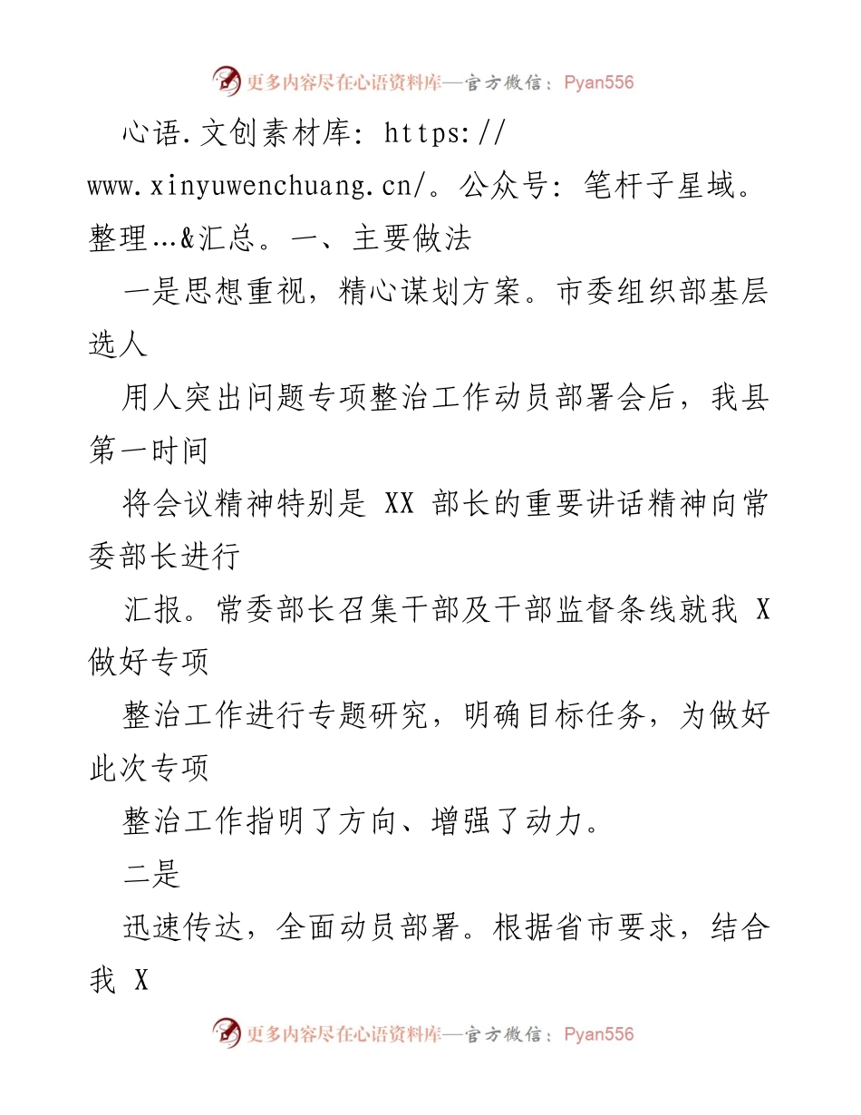 [工作总结] 选人用人专项整治工作 - 选人用人突出问题专项整治行动阶段性总结.docx_第2页