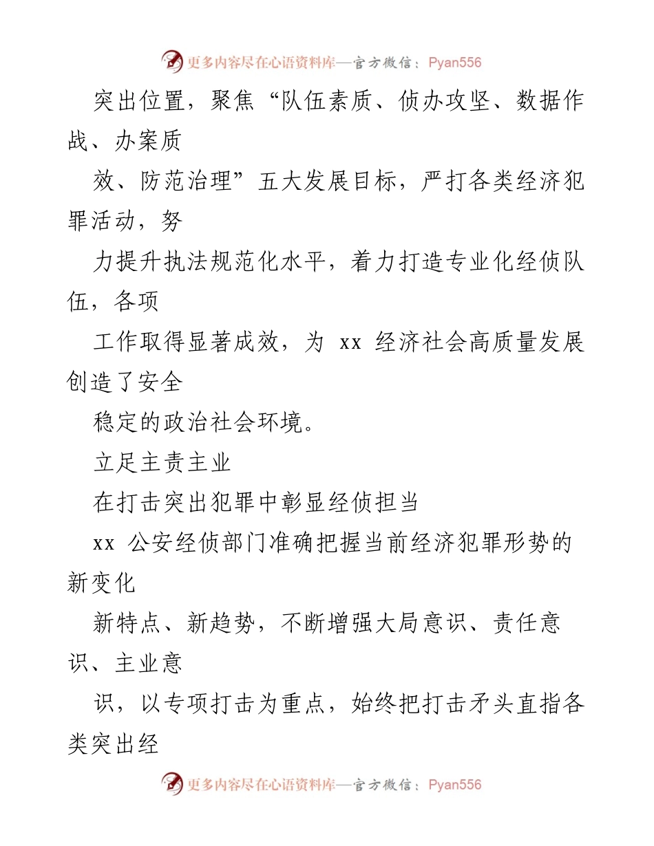 [工作总结] 经侦工作现代化建设经验交流 - 经侦工作现代化建设成效与经验分享.docx_第2页