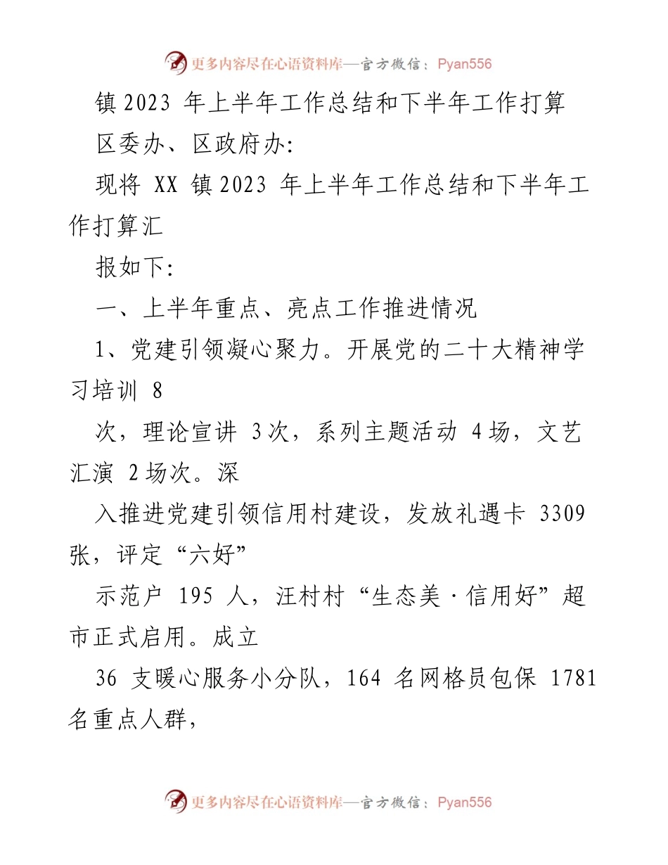 [工作总结] 镇政府 - XX镇2023年上半年工作总结与下半年工作计划_1.docx_第1页