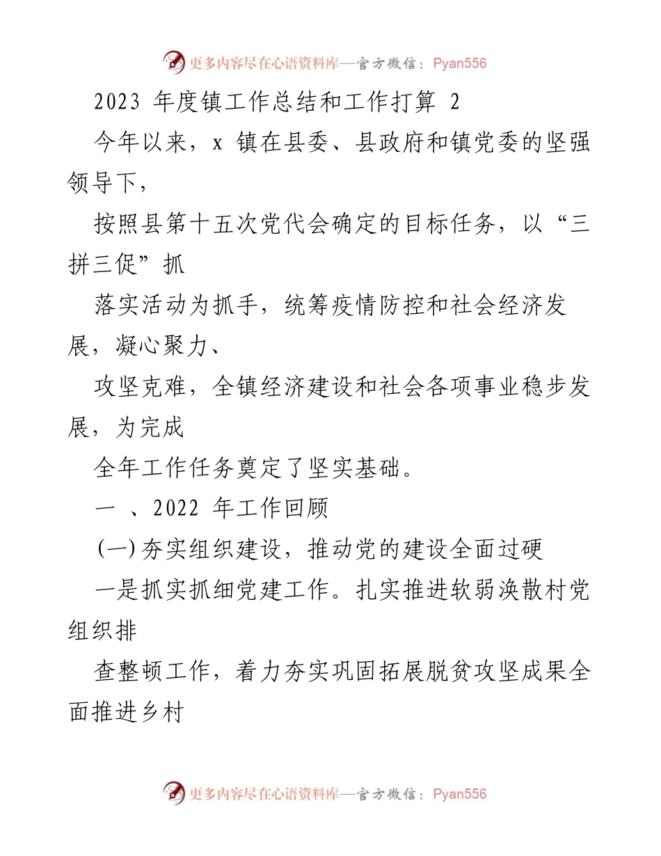 [工作总结] 镇年度工作总结 - 2023年度镇工作总结与未来工作计划.docx_第1页