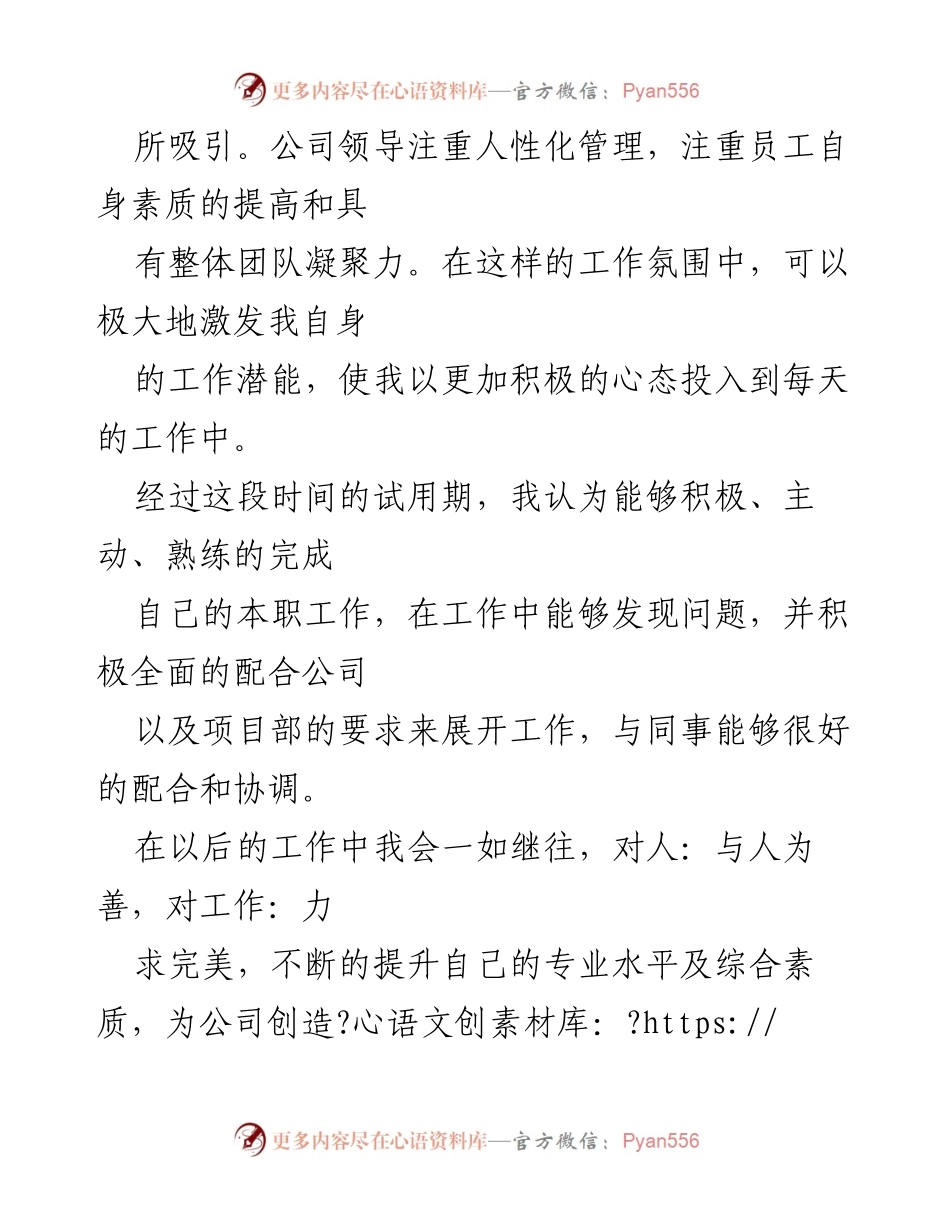 [工作总结] 试用期 - 试用期工作总结与转正申请.docx_第2页