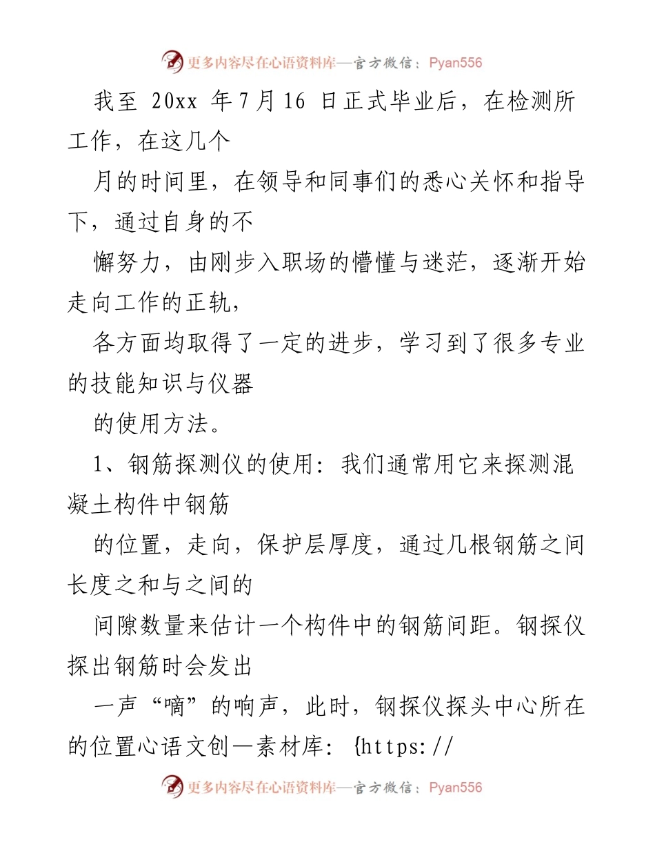 [工作总结] 职业发展 - 从学生到职场新人的成长与技能掌握.docx_第1页