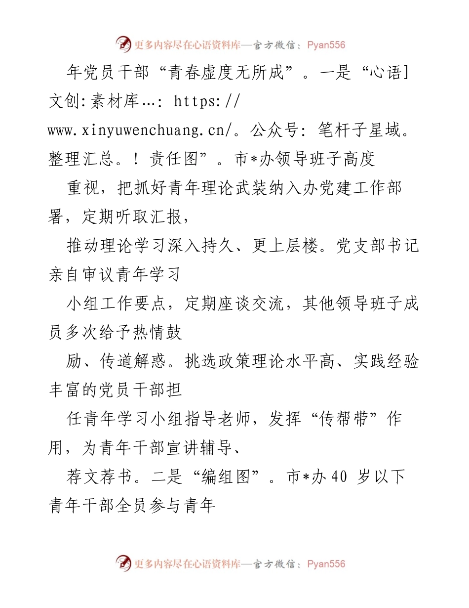 [工作总结] 青年干部理论学习 - 强化青年干部理论武装工作经验总结.docx_第2页