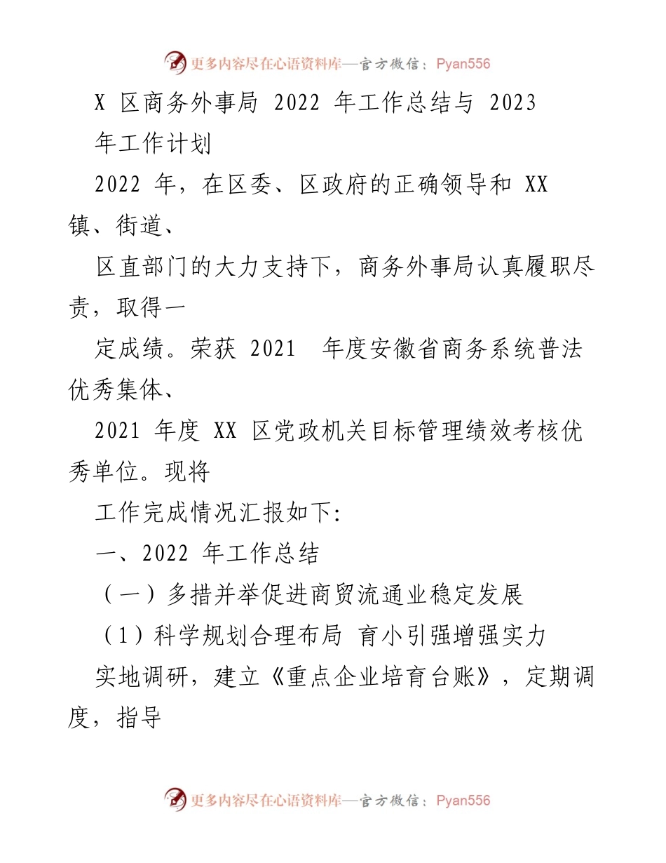 [工作总结与计划] 商务外事局 - 2022年工作总结与2023年工作计划.docx_第1页